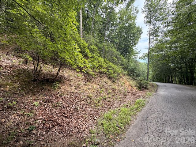 99999 Harrison Hill Road 15, Swannanoa, NC 28778