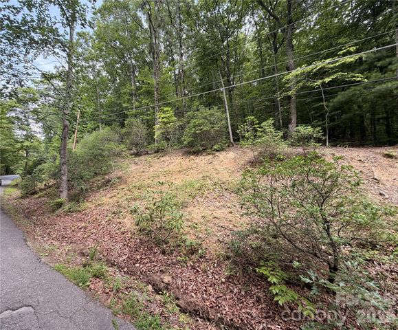 99999 Harrison Hill Road 15, Swannanoa, NC 28778