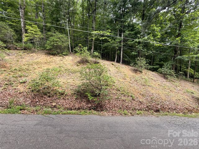 99999 Harrison Hill Road 15, Swannanoa, NC 28778