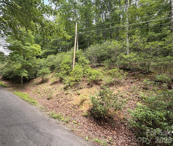 99999 Harrison Hill Road 15, Swannanoa, NC 28778
