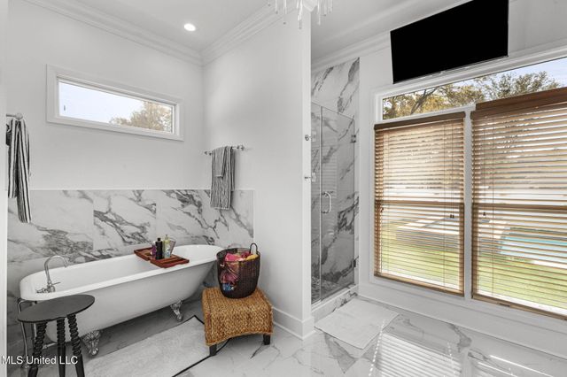 101 Saddle Creek Cove, Canton, MS 39046