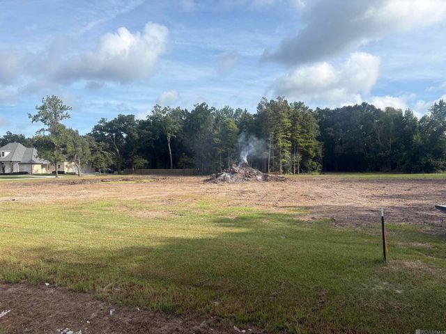 43046 Weber City Rd, Gonzales, LA 70737