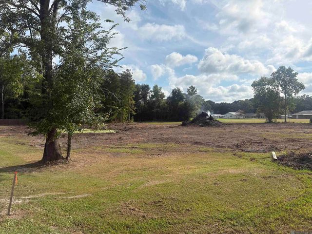 43046 Weber City Rd, Gonzales, LA 70737