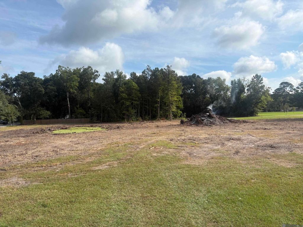 43046 Weber City Rd, Gonzales, LA 70737