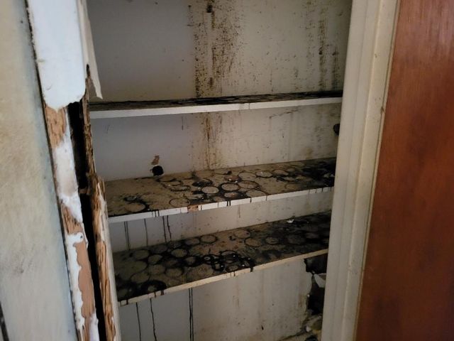 5143 Dumore Drive, Houston, TX 77048