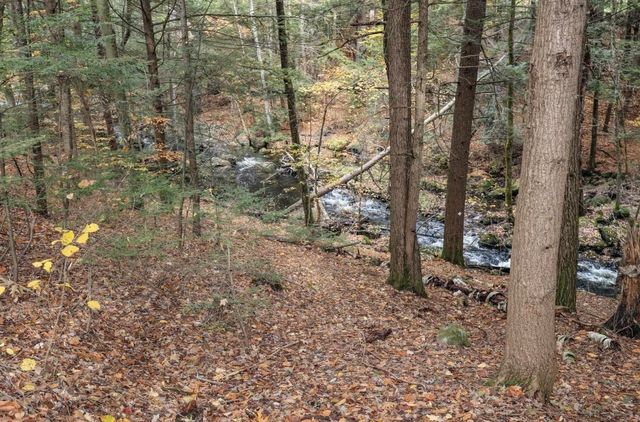 6 Birch Tree Lane, Hillsborough, NH 03244