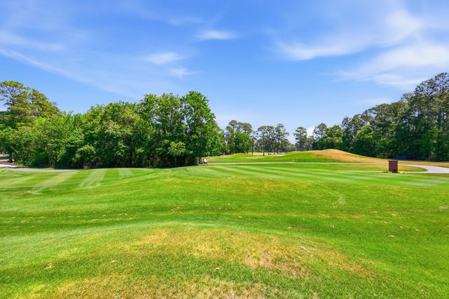 1618 Wood Stork Dr., Conway, SC 29526