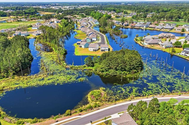 1618 Wood Stork Dr., Conway, SC 29526