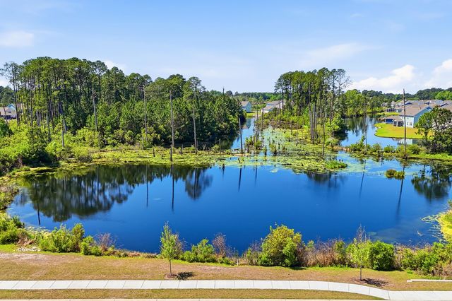 1618 Wood Stork Dr., Conway, SC 29526