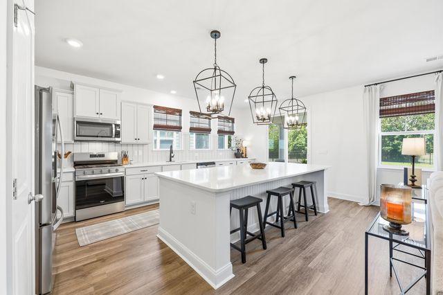 1618 Wood Stork Dr., Conway, SC 29526