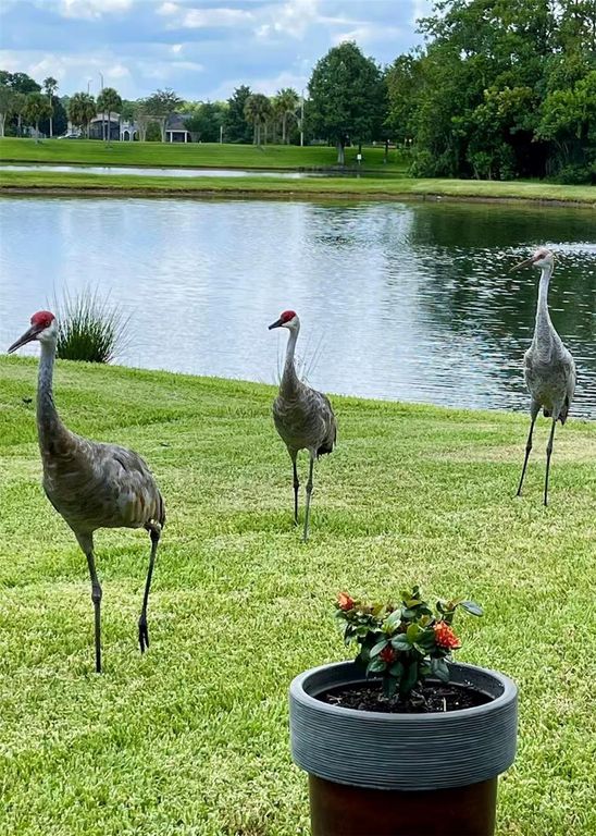 Image 25 of property listing at 646 CEDAR FOREST CIRCLE, Orlando, FL 32828