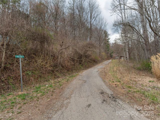 99999 Molasses Way 18, Waynesville, NC 28785