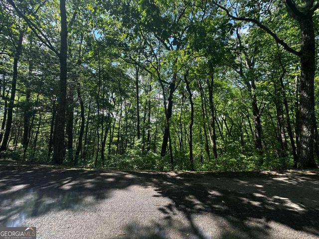 LOT 14 Oceola Drive, Ellijay, GA 30540