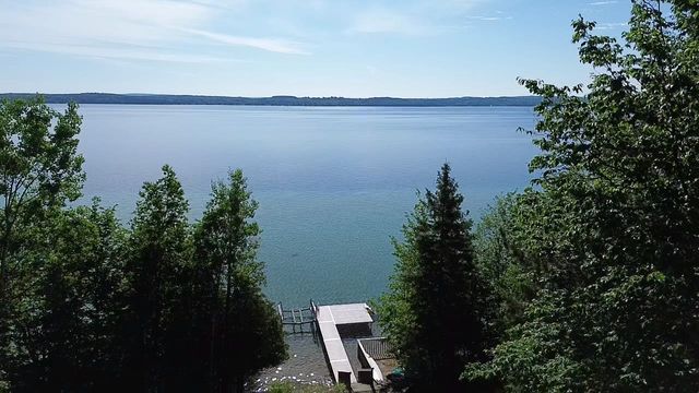 7681 Nw Torch Lake Drive, Milton Twp, MI 49648