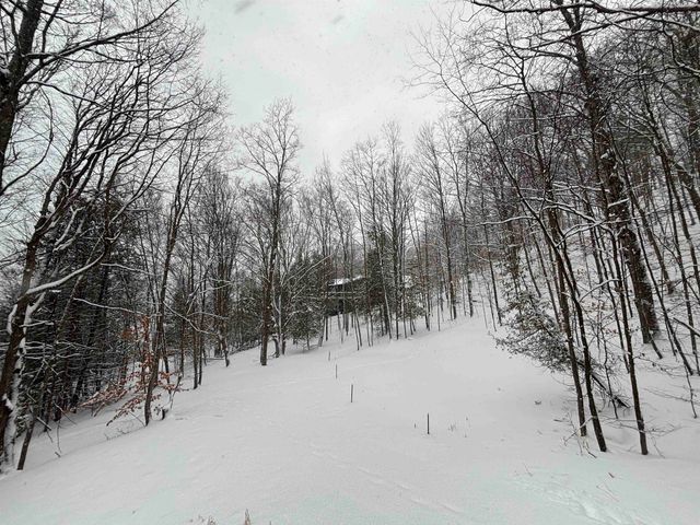 7681 Nw Torch Lake Drive, Milton Twp, MI 49648