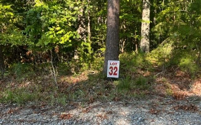 LT 32 Buck Creek Road, Ellijay, GA 30540