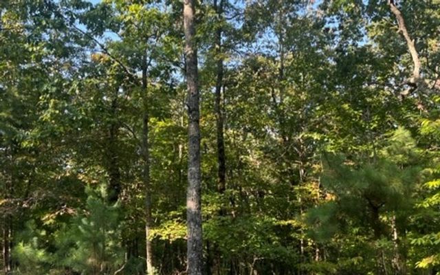 LT 32 Buck Creek Road, Ellijay, GA 30540