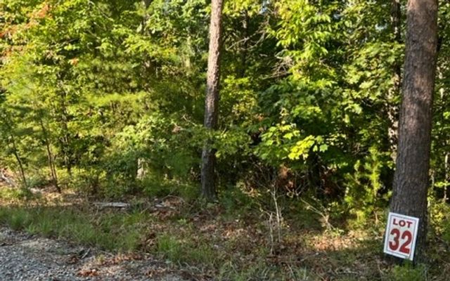 LT 32 Buck Creek Road, Ellijay, GA 30540