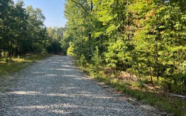 LT 32 Buck Creek Road, Ellijay, GA 30540