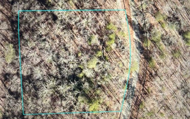 LT 32 Buck Creek Road, Ellijay, GA 30540