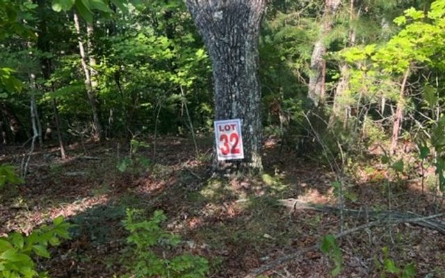 LT 32 Buck Creek Road, Ellijay, GA 30540