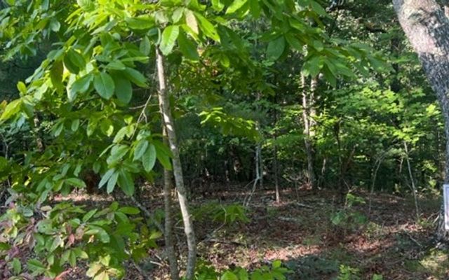 LT 32 Buck Creek Road, Ellijay, GA 30540