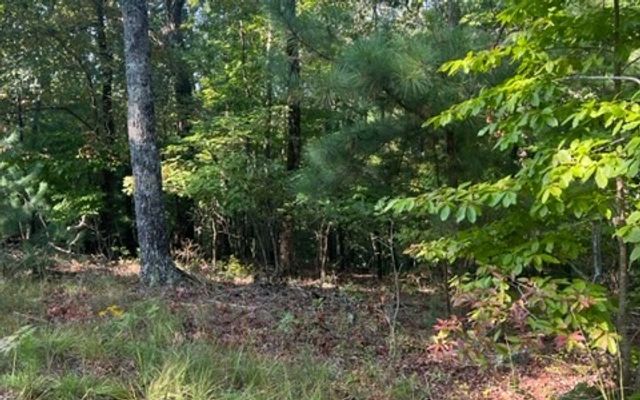 LT 32 Buck Creek Road, Ellijay, GA 30540