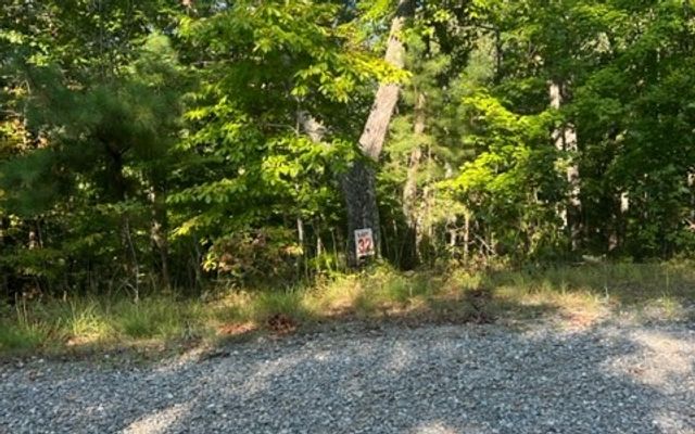 LT 32 Buck Creek Road, Ellijay, GA 30540