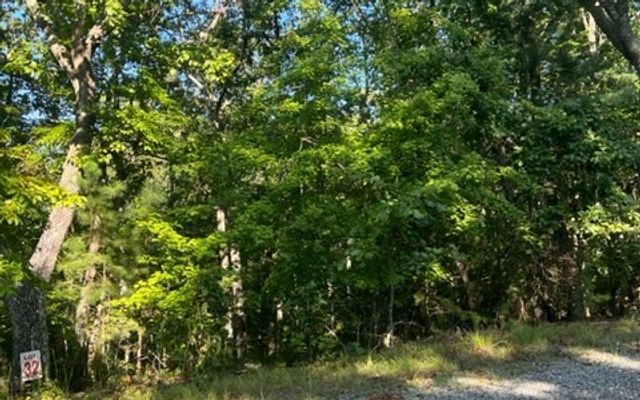 LT 32 Buck Creek Road, Ellijay, GA 30540