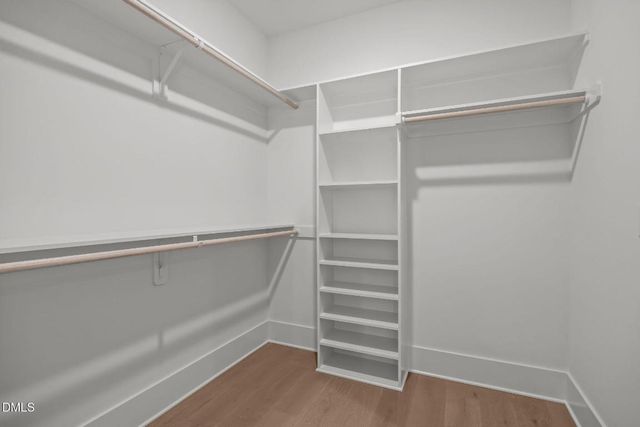 2305 Turners Alley, Raleigh, NC 27607