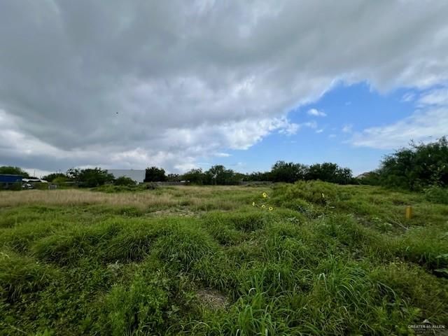 708 Monterrey Drive, Weslaco, TX 78599
