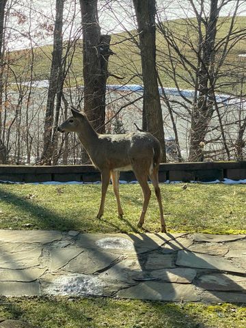 273 Bridlewood Lane, Valparaiso, IN 46385