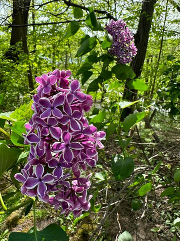 273 Bridlewood Lane, Valparaiso, IN 46385