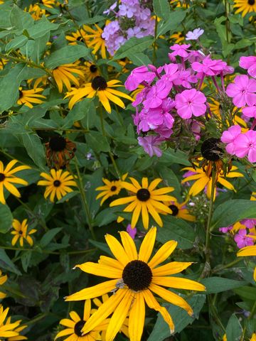 273 Bridlewood Lane, Valparaiso, IN 46385