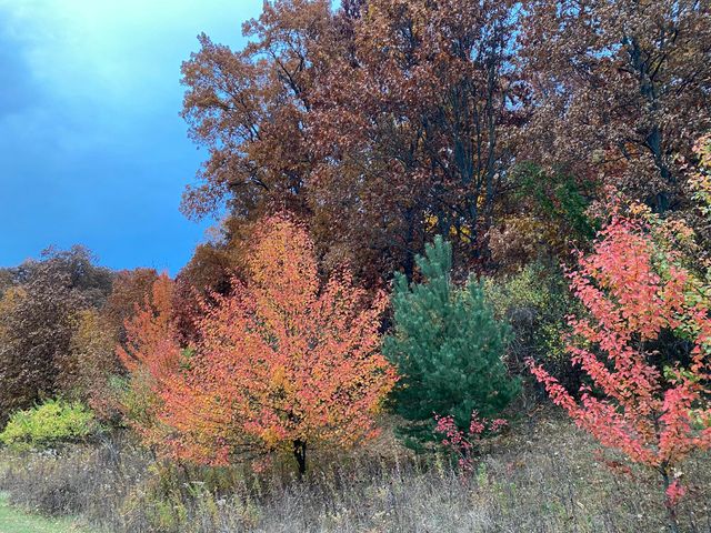 273 Bridlewood Lane, Valparaiso, IN 46385