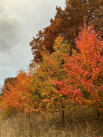 273 Bridlewood Lane, Valparaiso, IN 46385