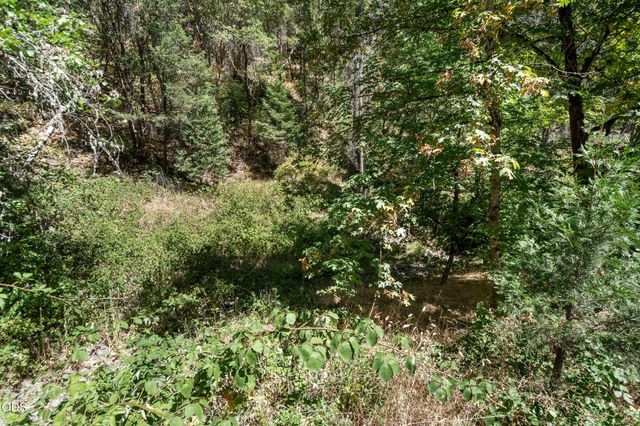 4955 Sardine Creek L Fork Road, Gold Hill, OR 97525