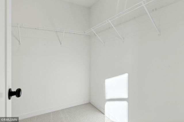 10157 Blackmoor Road, Woodbury, MN 55129