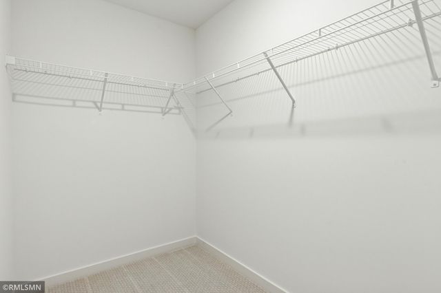 10157 Blackmoor Road, Woodbury, MN 55129