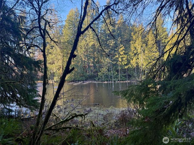 75 E Lakewood Drive, Belfair, WA 98528