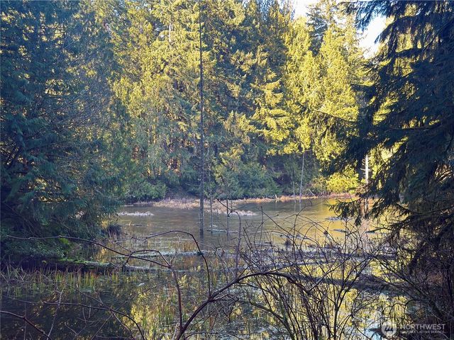 75 E Lakewood Drive, Belfair, WA 98528
