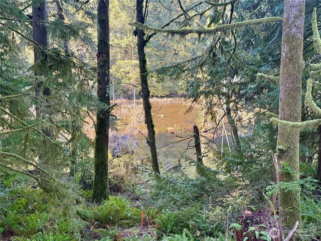 75 E Lakewood Drive, Belfair, WA 98528