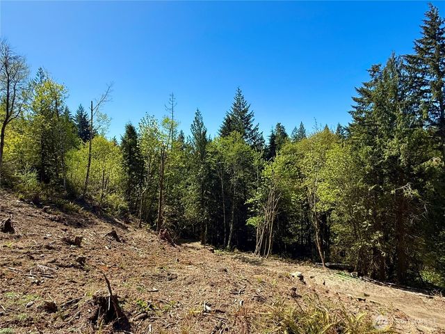 75 E Lakewood Drive, Belfair, WA 98528