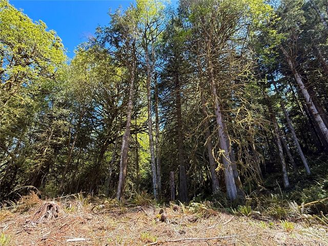 75 E Lakewood Drive, Belfair, WA 98528