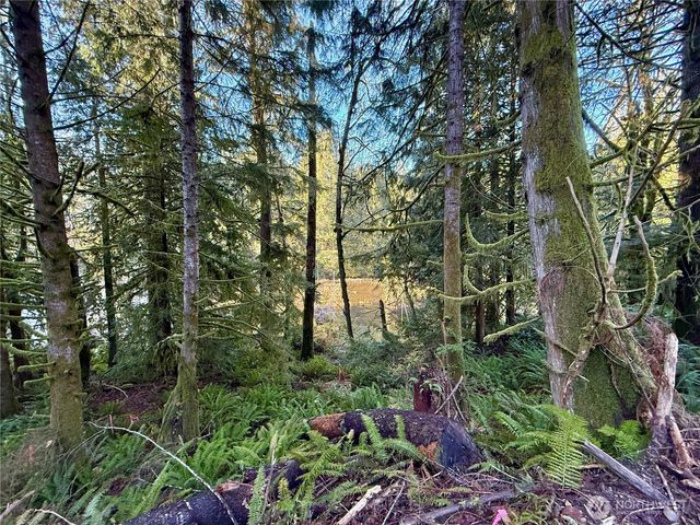 75 E Lakewood Drive, Belfair, WA 98528