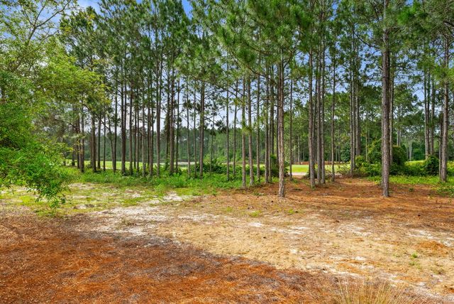 1532 Salamander Trail, Panama City Beach, FL 32413
