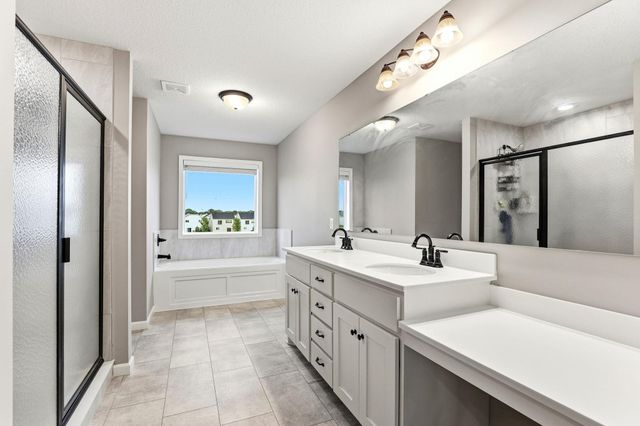15197 Snowy Owl Street NW, Ramsey, MN 55303