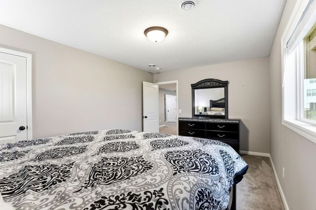 15197 Snowy Owl Street NW, Ramsey, MN 55303