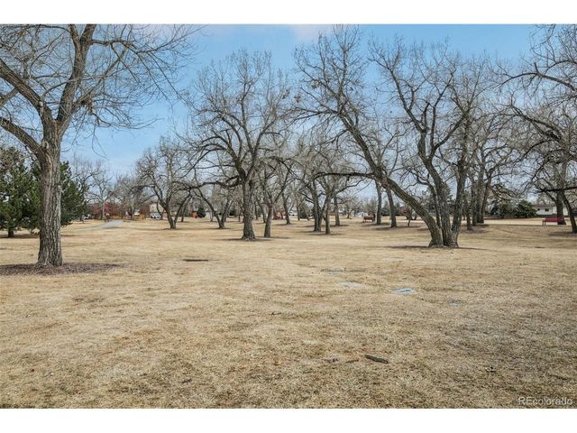 8262 Johnson Ct, Arvada, CO 80005