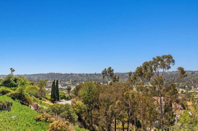 1041 Calle Mesita, Bonita, CA 91902